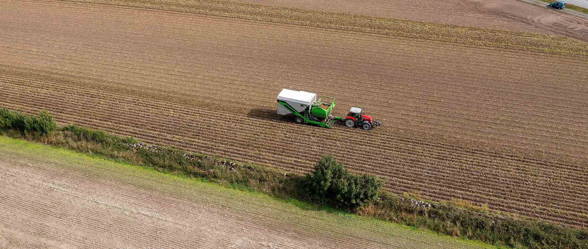 “探、收、烘、运”，看j9官网如何四管齐下一站式保障秋收果实