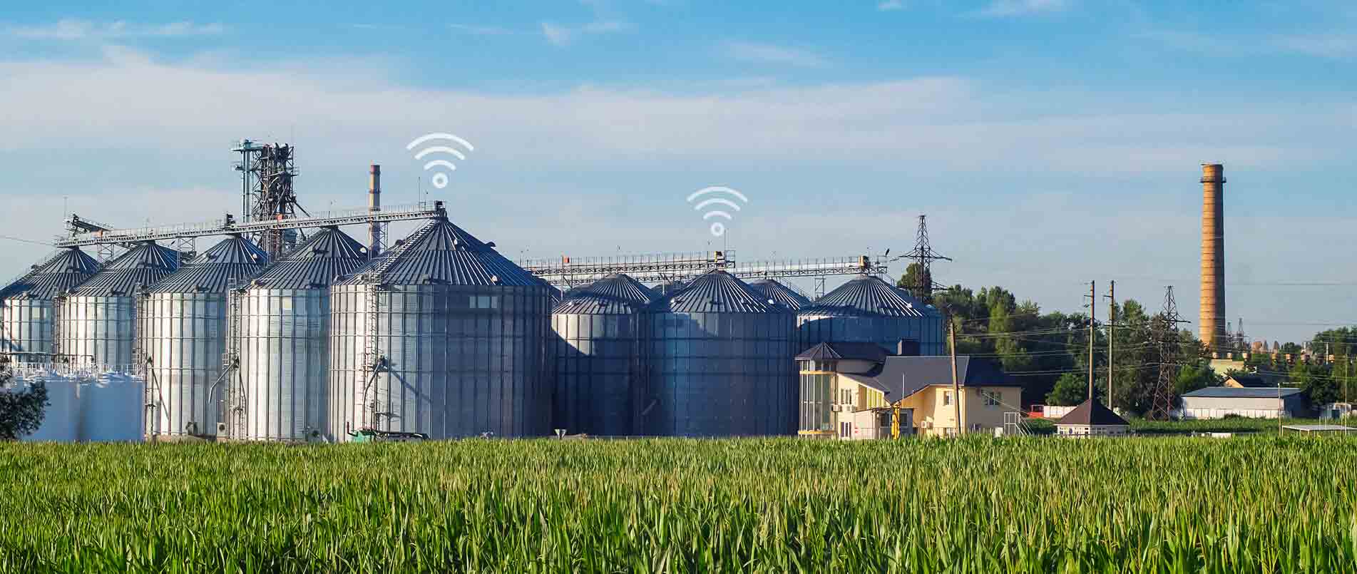 j9官网助力夏粮存储新招式，科技手段更有效